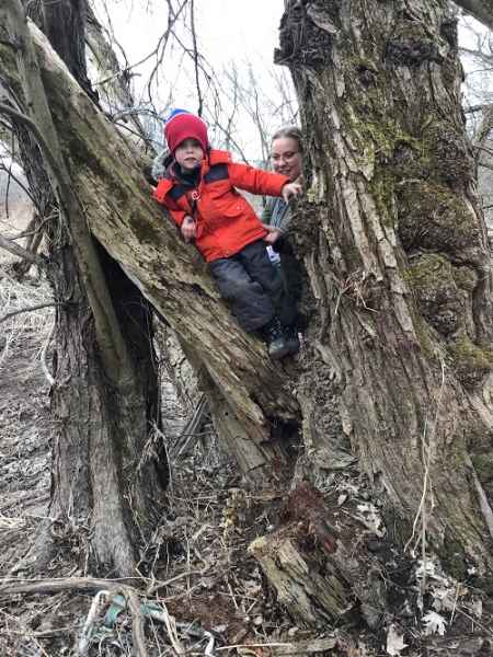 boy climbin a tree